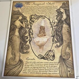 Witches Moon The Magical Shell Artwork